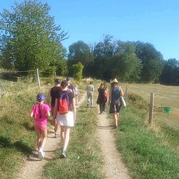 Balade plantes sauvages 19 septembre 26 groupe